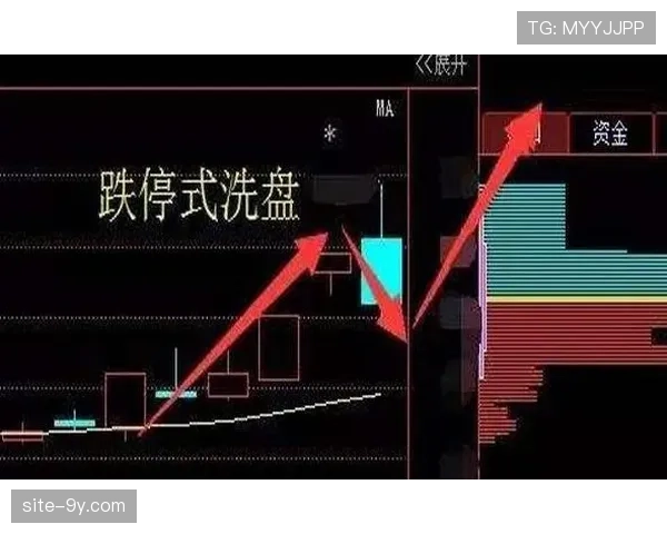 “分析:高位压迫遇冷,低位防反成为英超保级队生存教科书” “分析:高位压迫遇冷,低位防反成为英超保级队生存教科书”